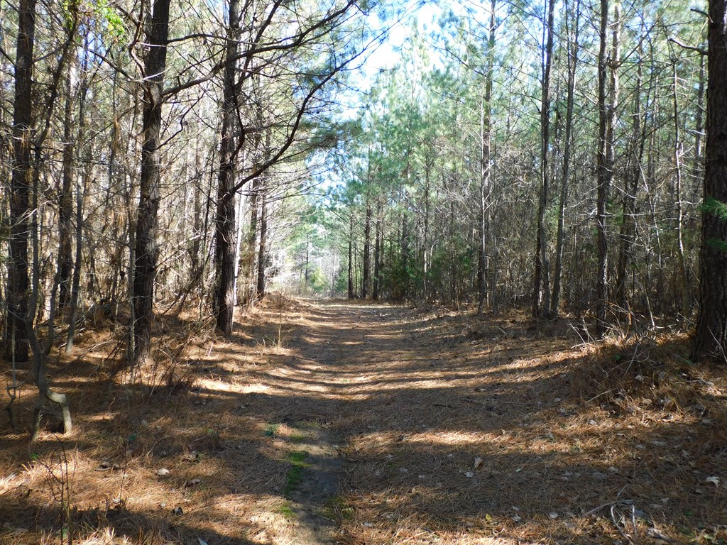 8.93 Guill Town Road Property Photo 11