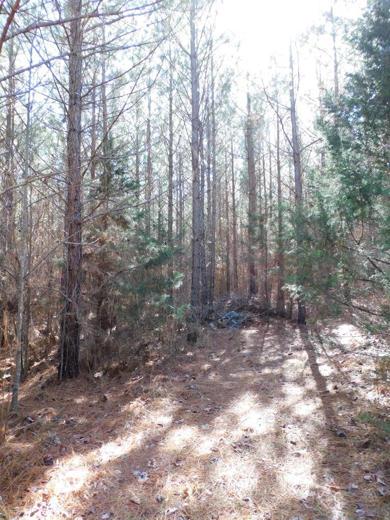 8.93 Guill Town Road Property Photo 12