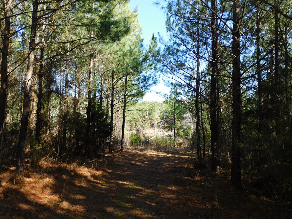 8.93 Guill Town Road Property Photo 13