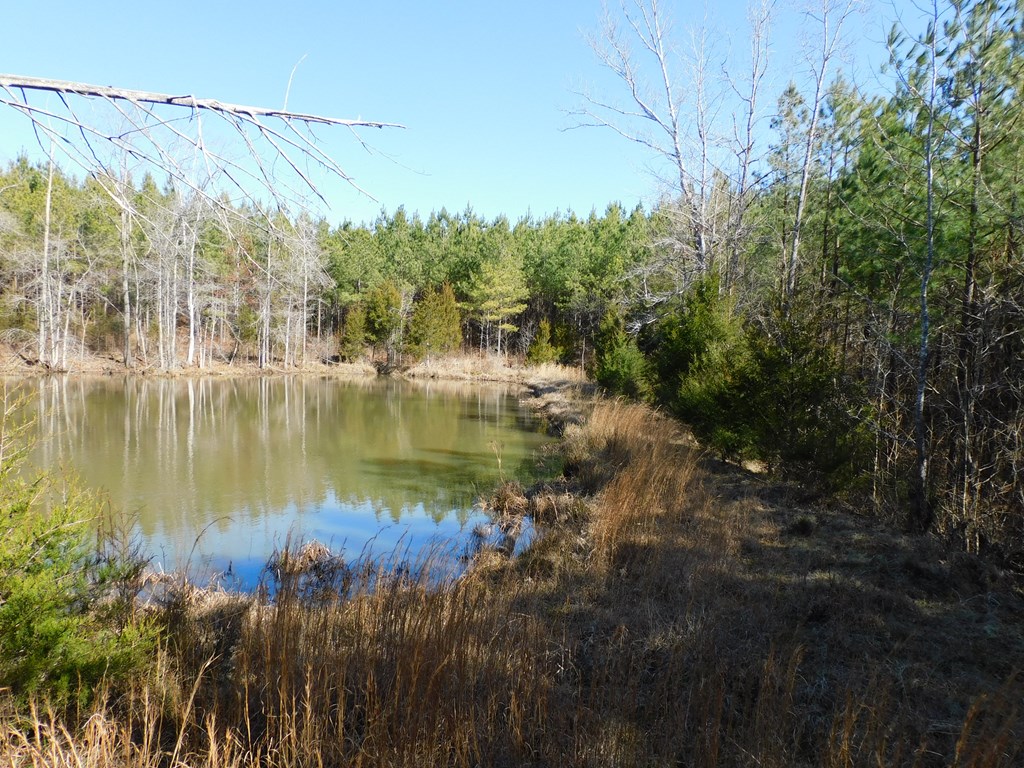 8.93 Guill Town Road Property Photo 15