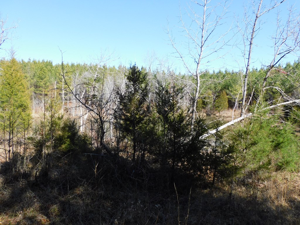 8.93 Guill Town Road Property Photo 16