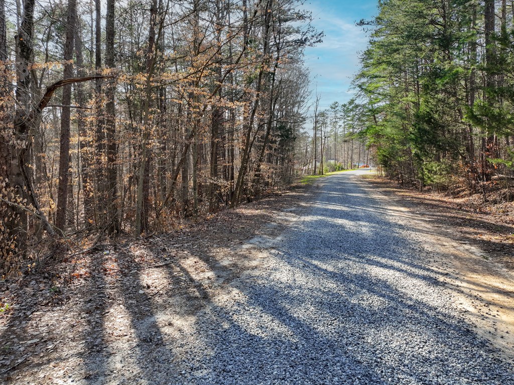 7254 Highway 15 North Property Photo 4