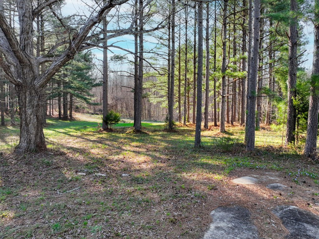 7254 Highway 15 North Property Photo 6