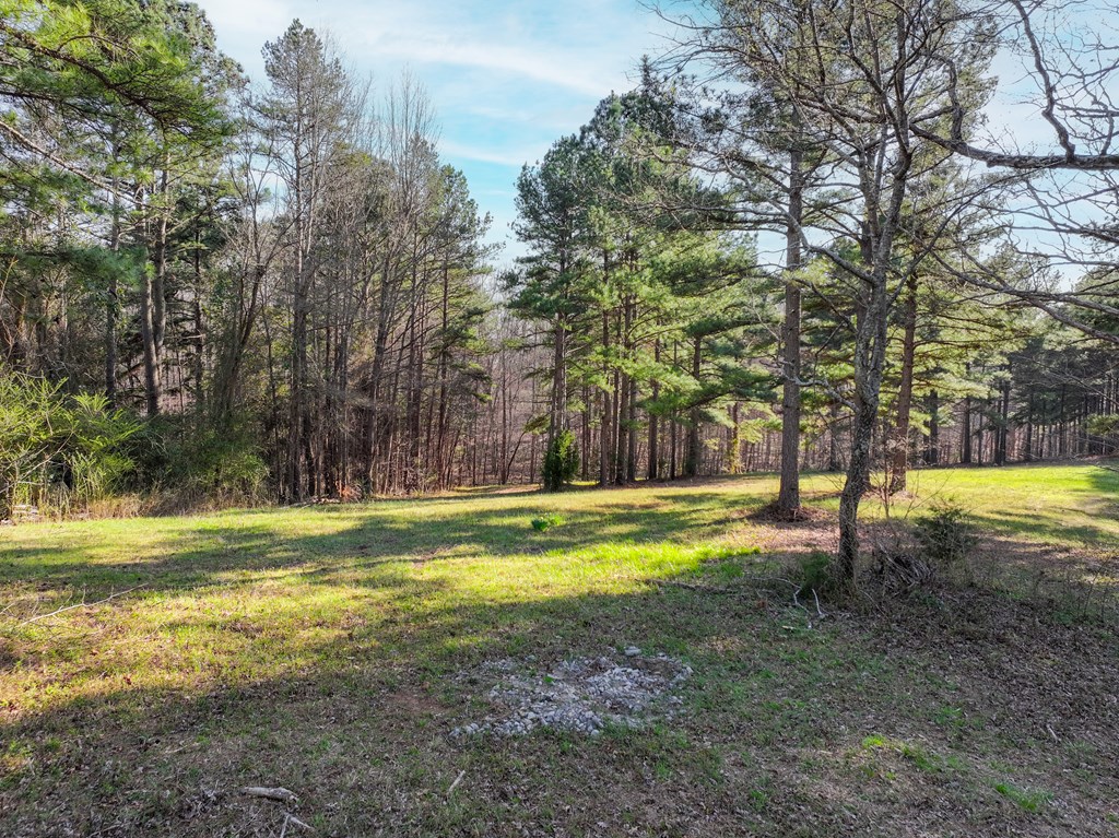 7254 Highway 15 North Property Photo 8