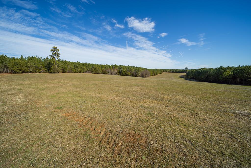 Neals Corner Road Property Photo 3