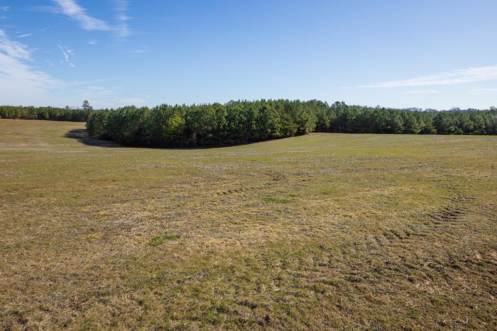 Neals Corner Road Property Photo 4