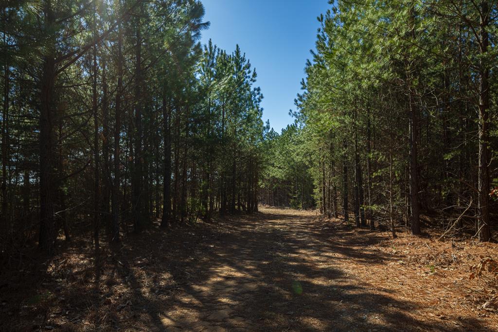 Neals Corner Road Property Photo 5