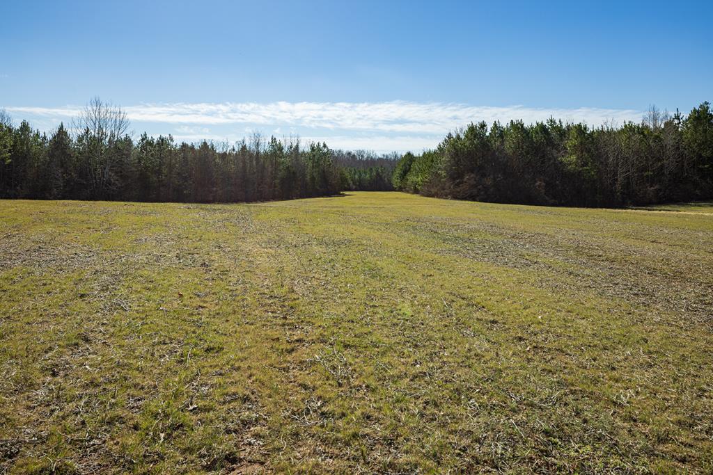 Neals Corner Road Property Photo 8