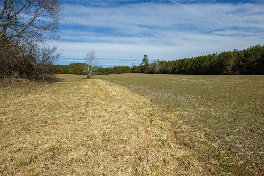 Neals Corner Road Property Photo 9