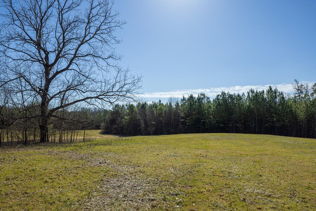 Neals Corner Road Property Photo 12