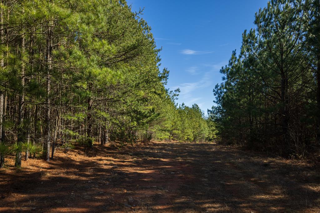 Neals Corner Road Property Photo 14