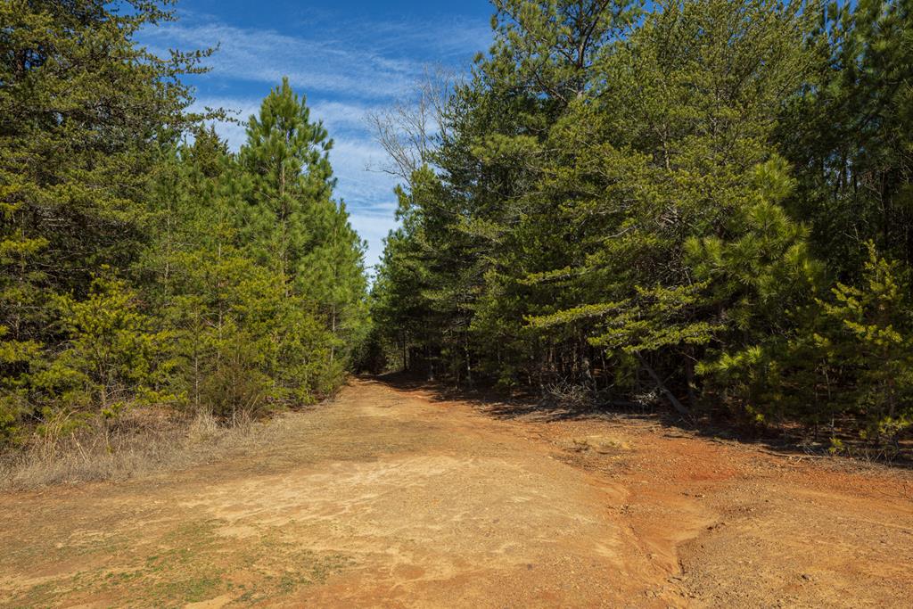 Neals Corner Road Property Photo 15