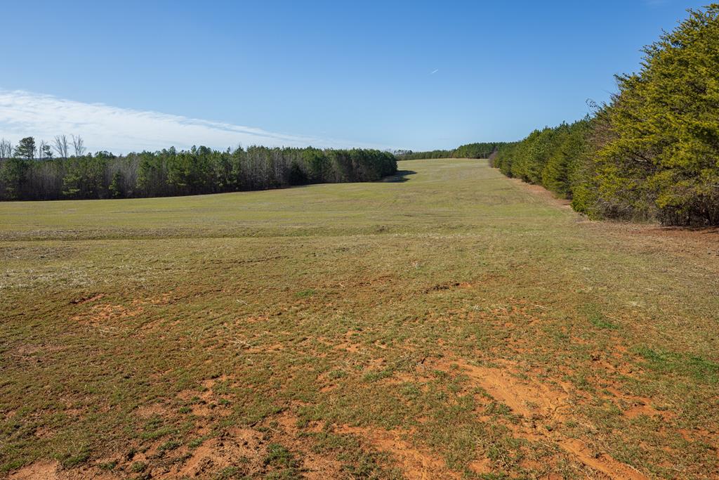 Neals Corner Road Property Photo 16