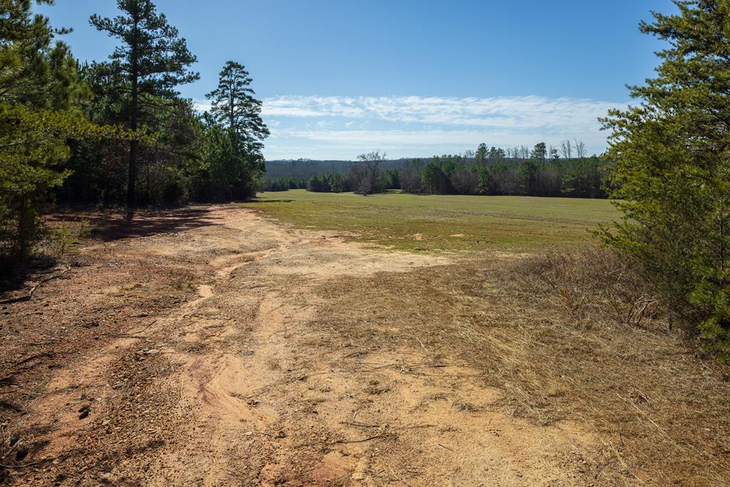 Neals Corner Road Property Photo 17