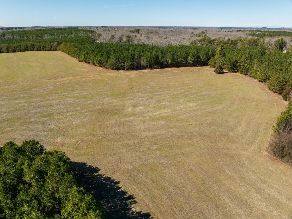 Neals Corner Road Property Photo 20