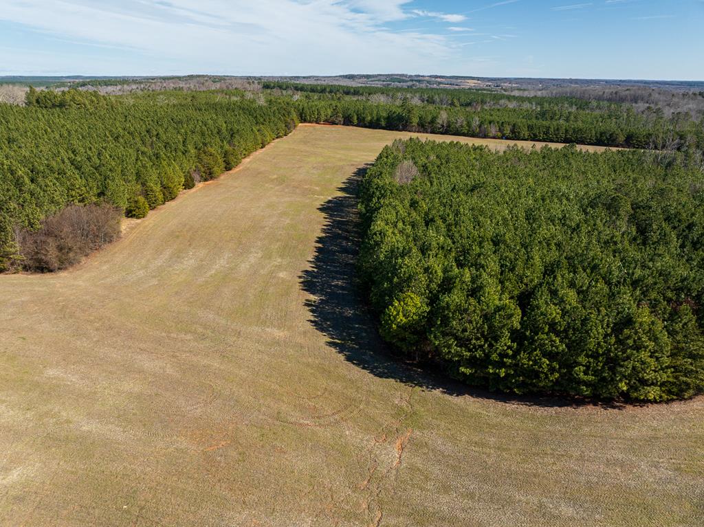 Neals Corner Road Property Photo 21