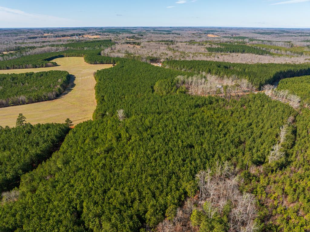 Neals Corner Road Property Photo 31