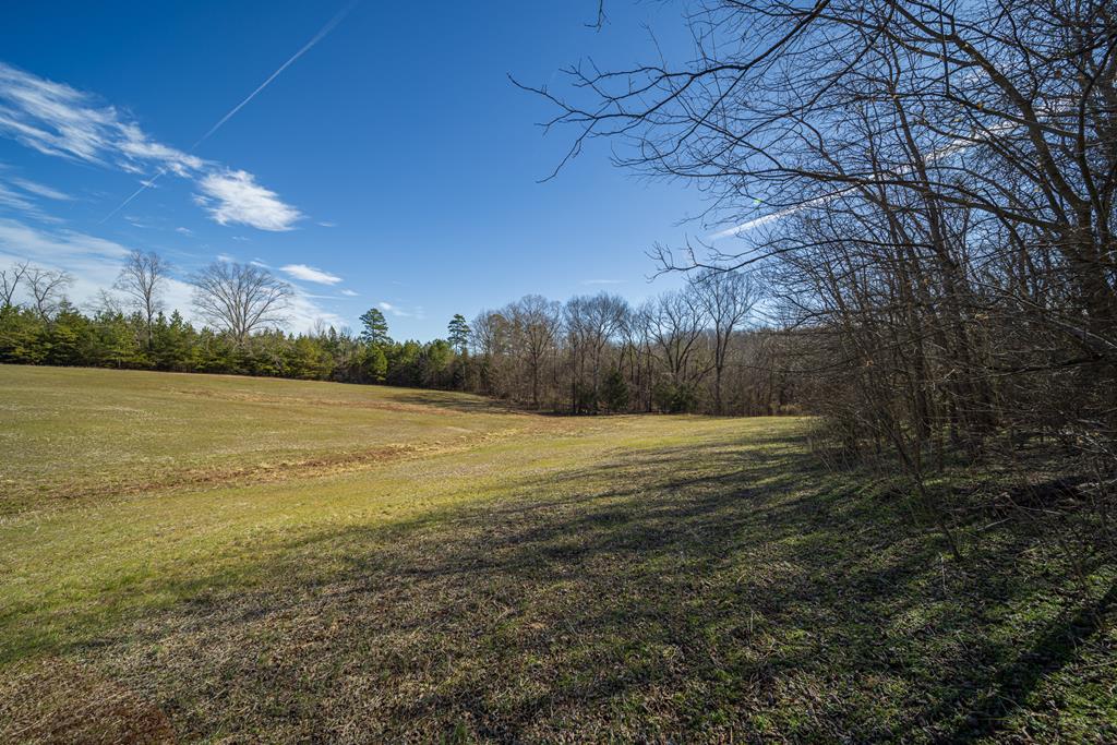 Neals Corner Road Property Photo 40