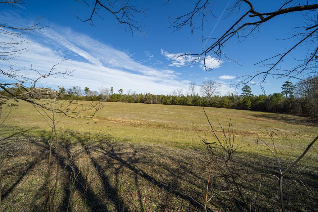 Neals Corner Road Property Photo 51