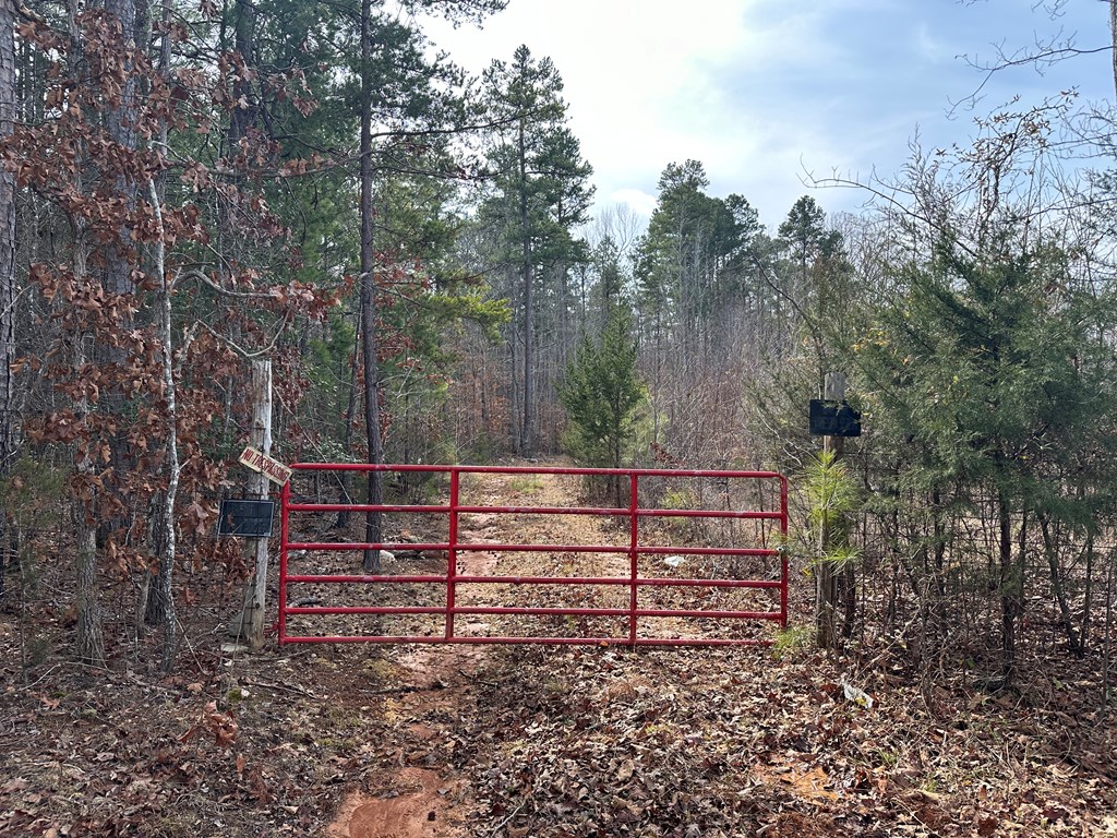 32 Acres Queen Bee Lane Property Photo 2