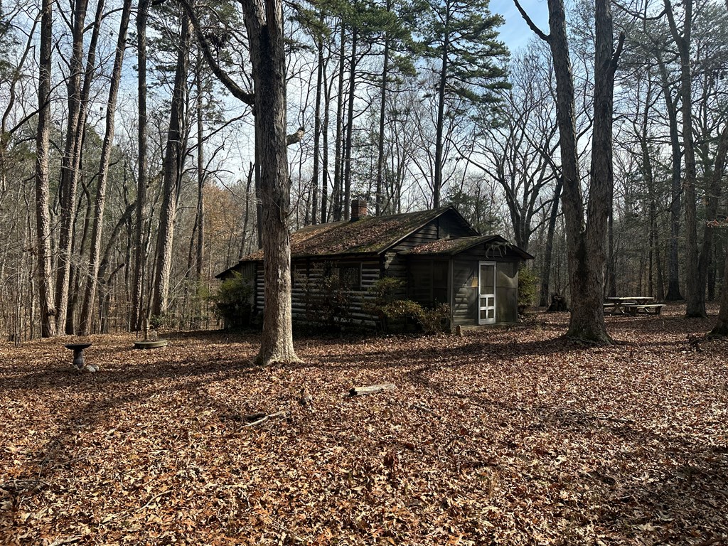 32 Acres Queen Bee Lane Property Photo 11