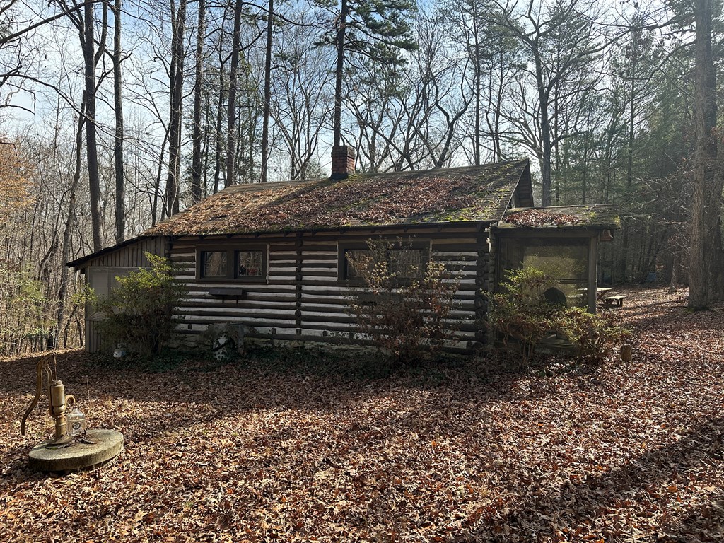 32 Acres Queen Bee Lane Property Photo 12