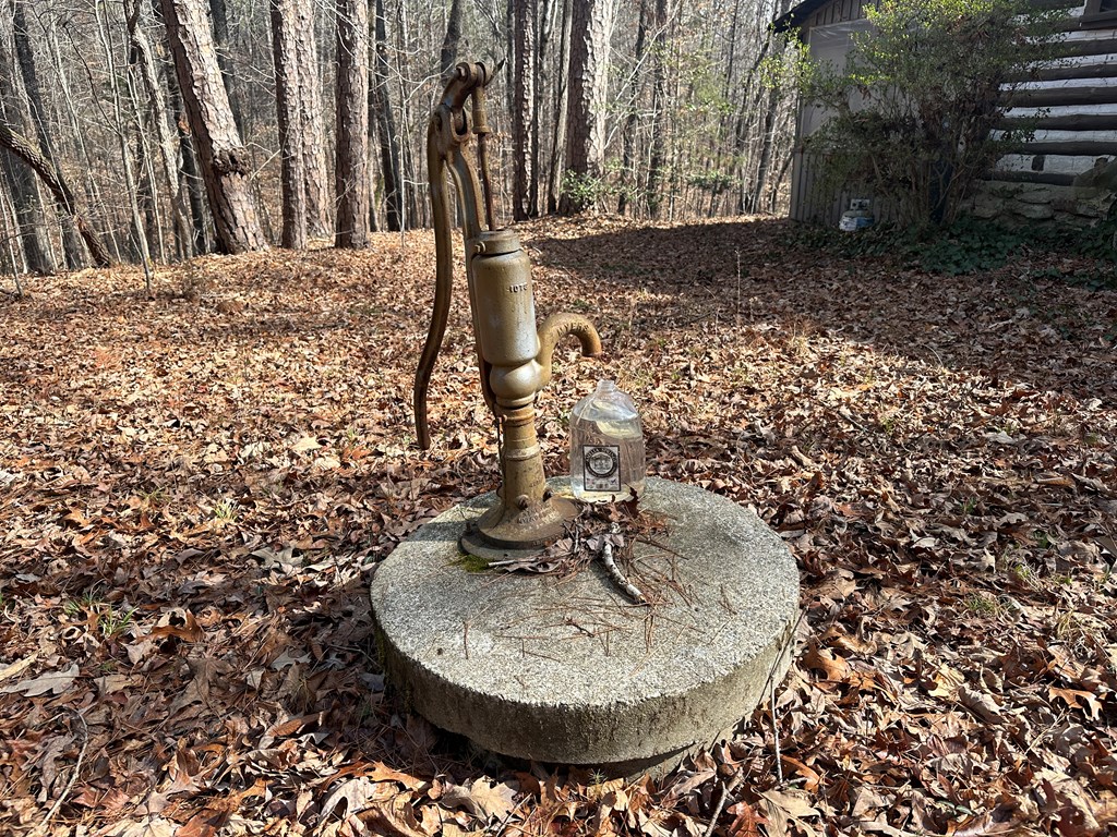 32 Acres Queen Bee Lane Property Photo 13