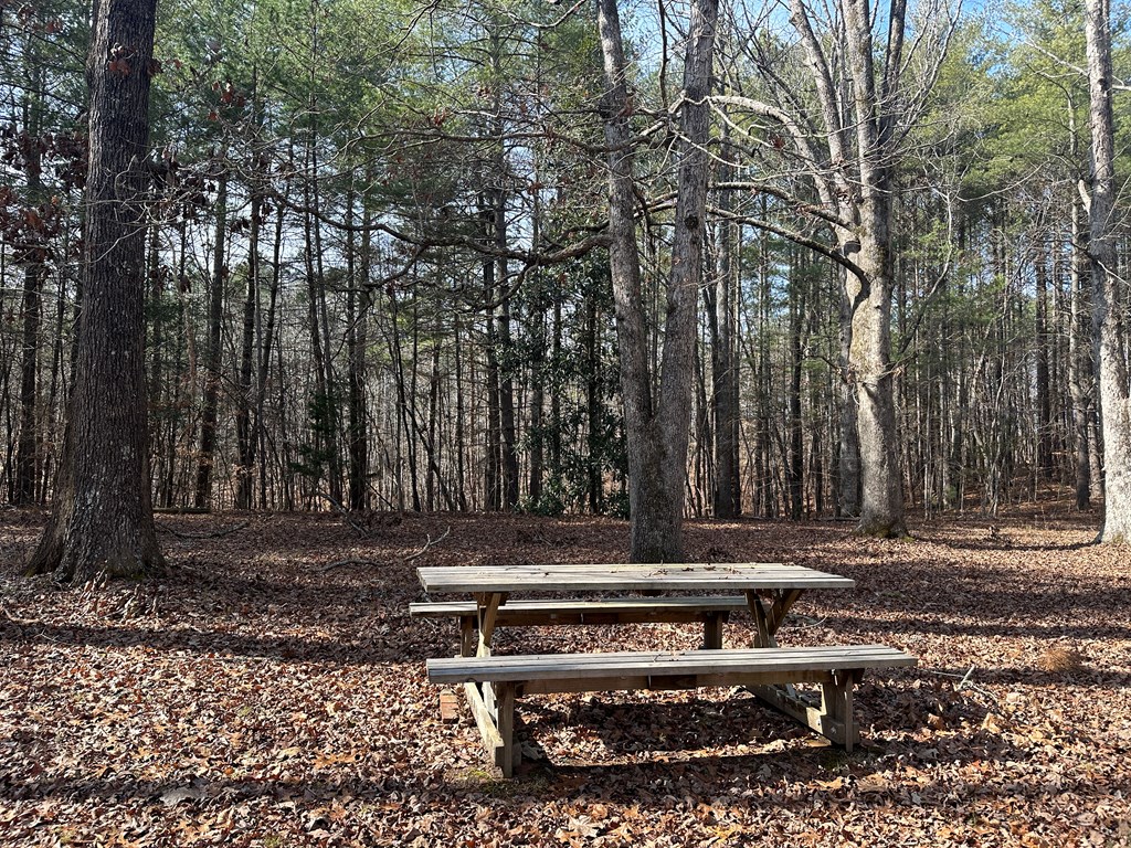 32 Acres Queen Bee Lane Property Photo 22
