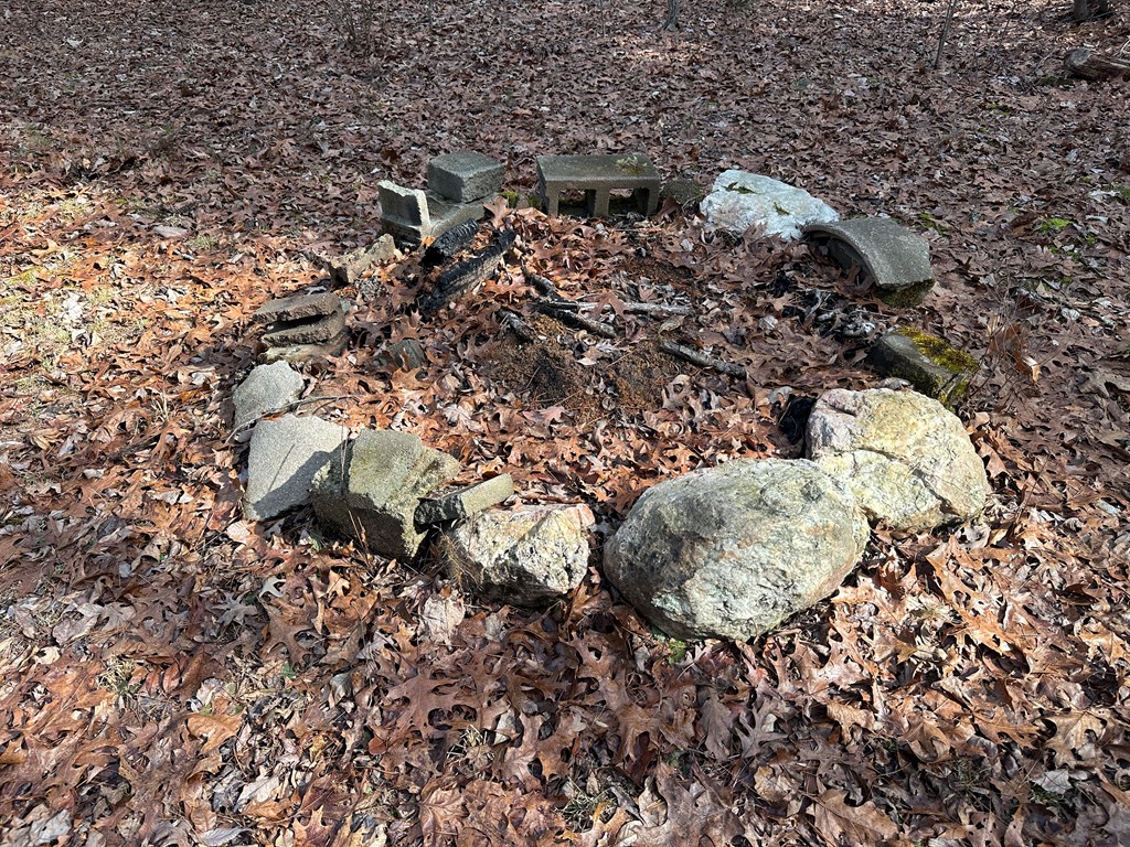 32 Acres Queen Bee Lane Property Photo 23