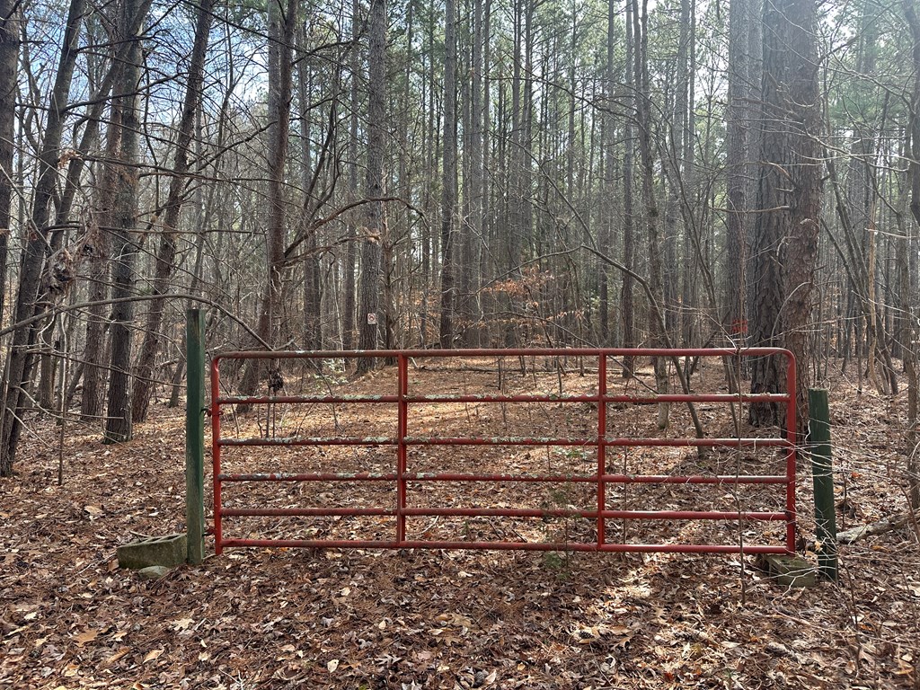32 Acres Queen Bee Lane Property Photo 25