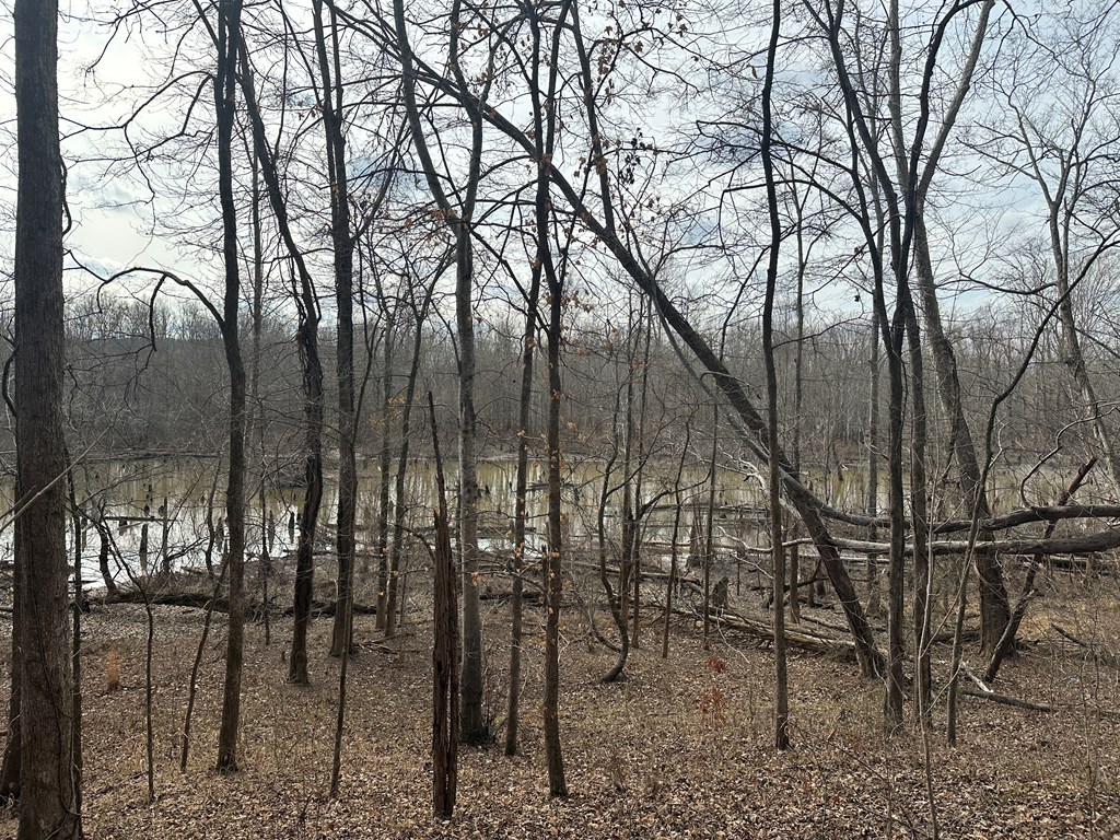 32 Acres Queen Bee Lane Property Photo 31