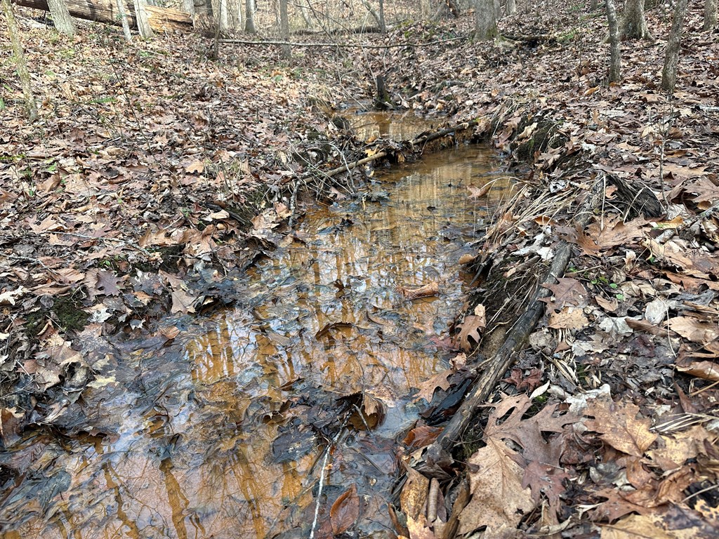 32 Acres Queen Bee Lane Property Photo 36
