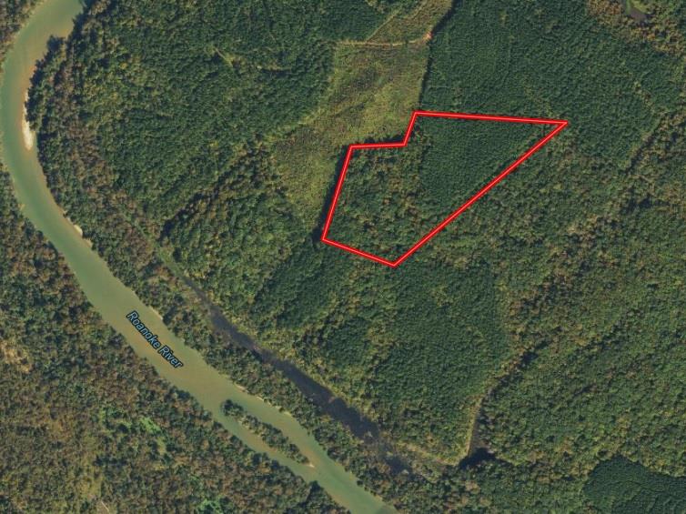 32 Acres Queen Bee Lane Property Photo 48