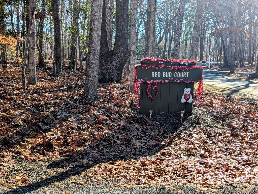 100 Red Bud Court Property Photo 6