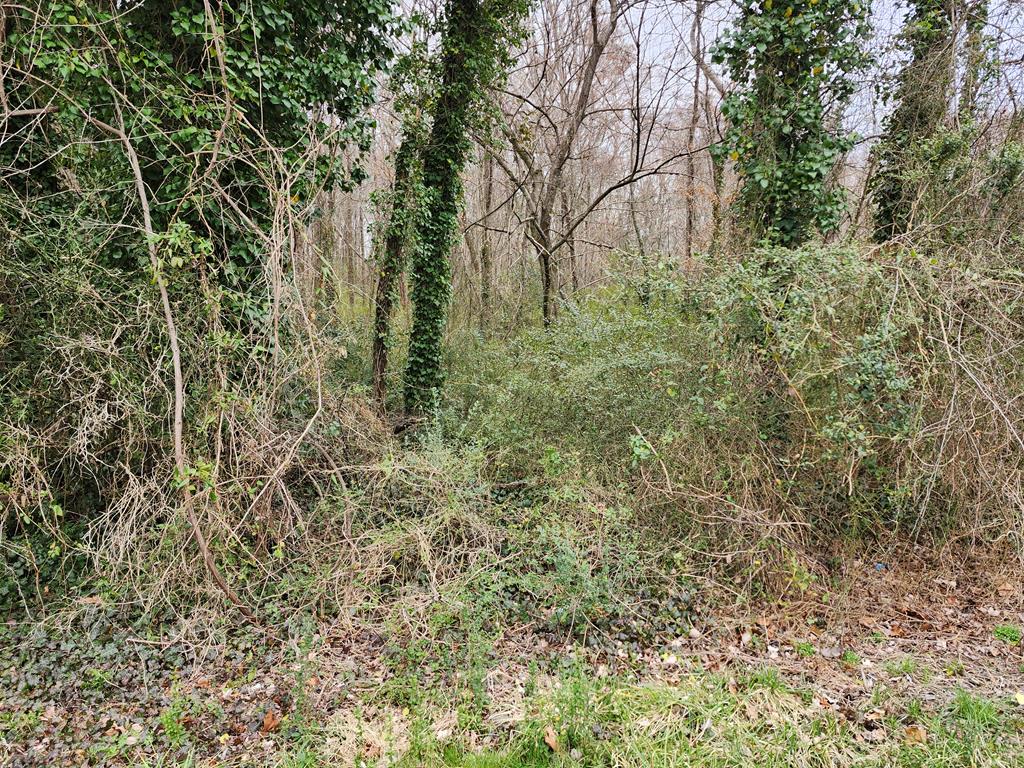College Street Property Photo