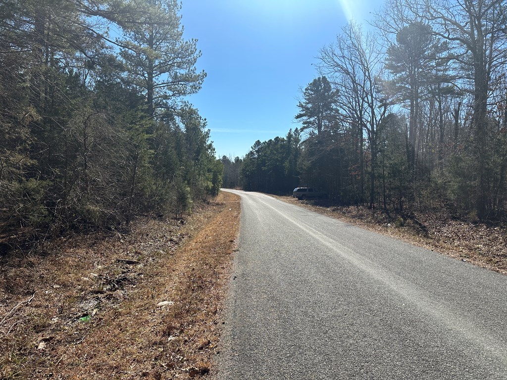 9.9 Acs Allen Trail Property Photo 2