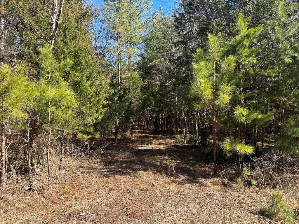 9.9 Acs Allen Trail Property Photo 3