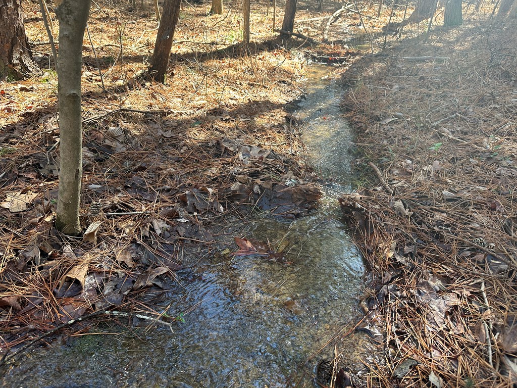 9.9 Acs Allen Trail Property Photo 6