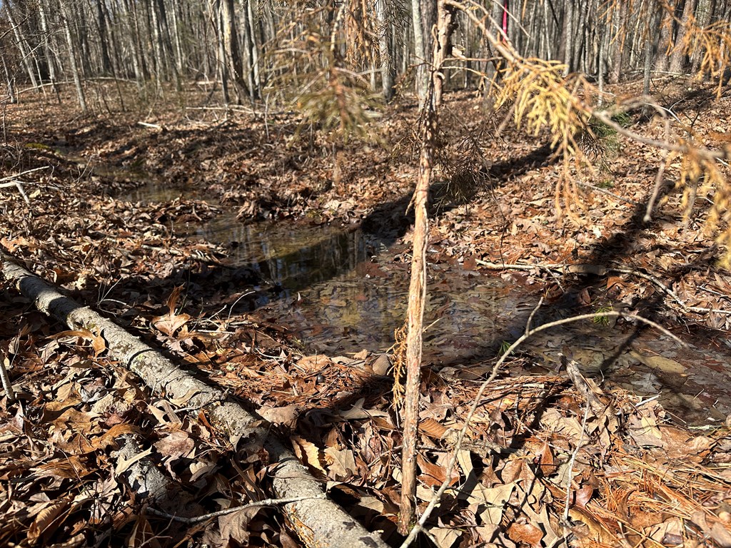 9.9 Acs Allen Trail Property Photo 7