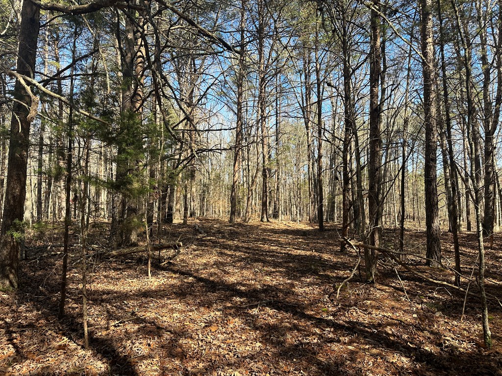 9.9 Acs Allen Trail Property Photo 8