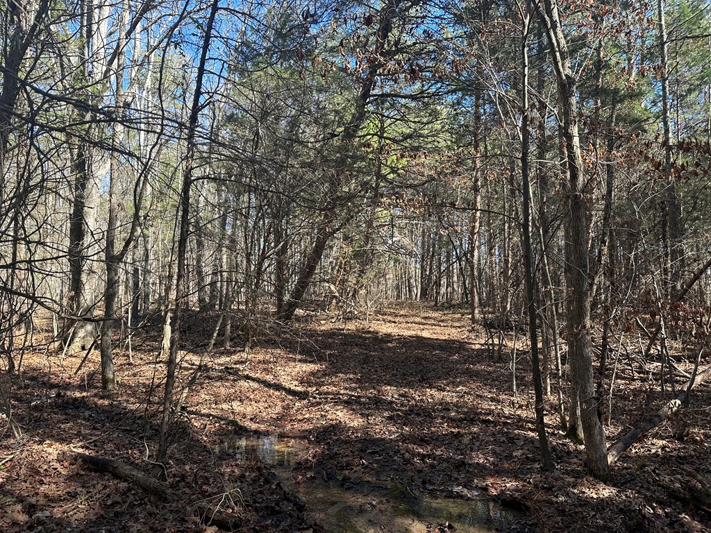 9.9 Acs Allen Trail Property Photo 11