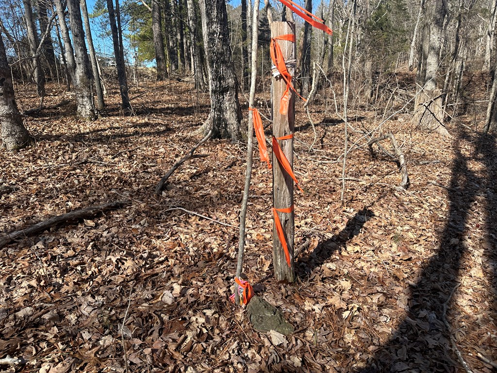 9.9 Acs Allen Trail Property Photo 13