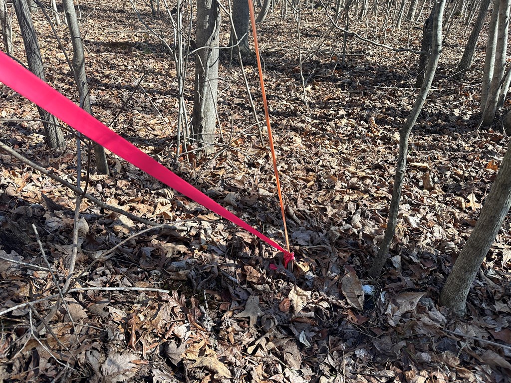 9.9 Acs Allen Trail Property Photo 14