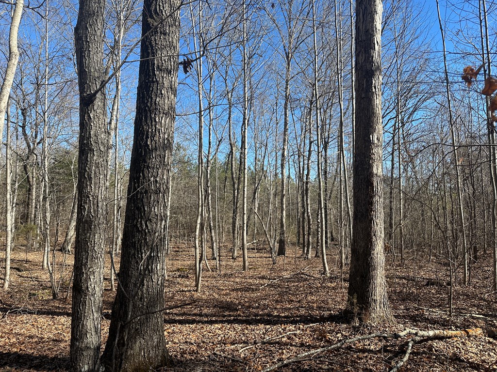 9.9 Acs Allen Trail Property Photo 18