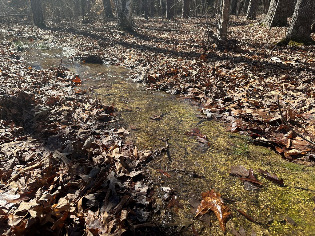9.9 Acs Allen Trail Property Photo 19