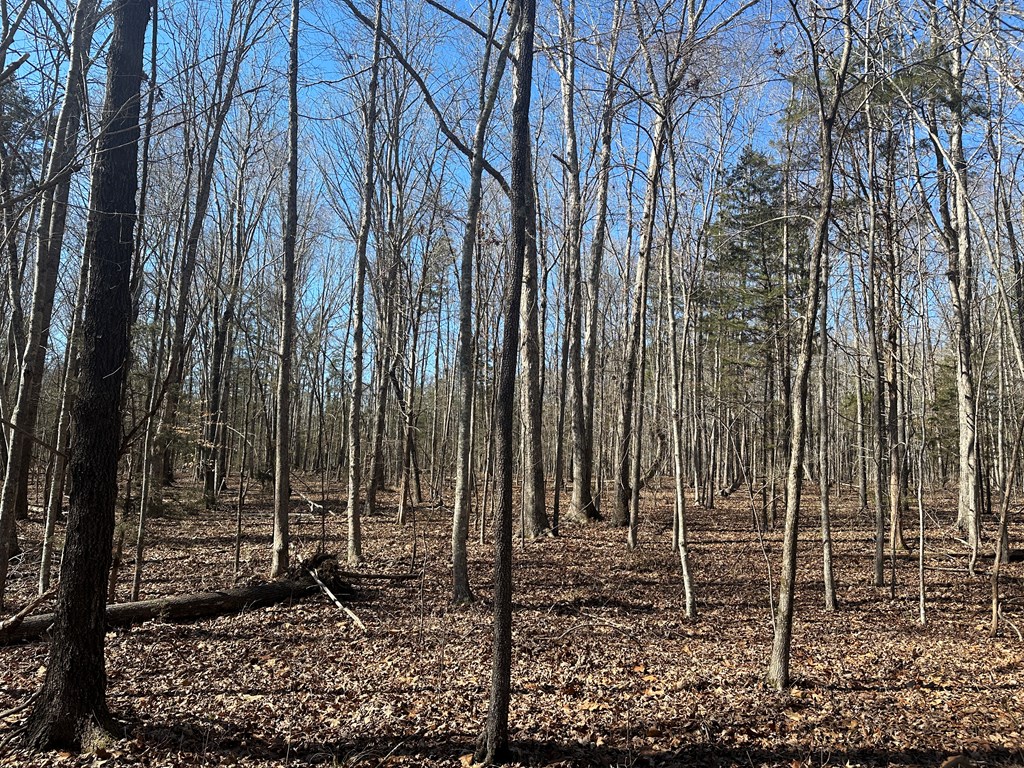 9.9 Acs Allen Trail Property Photo 23