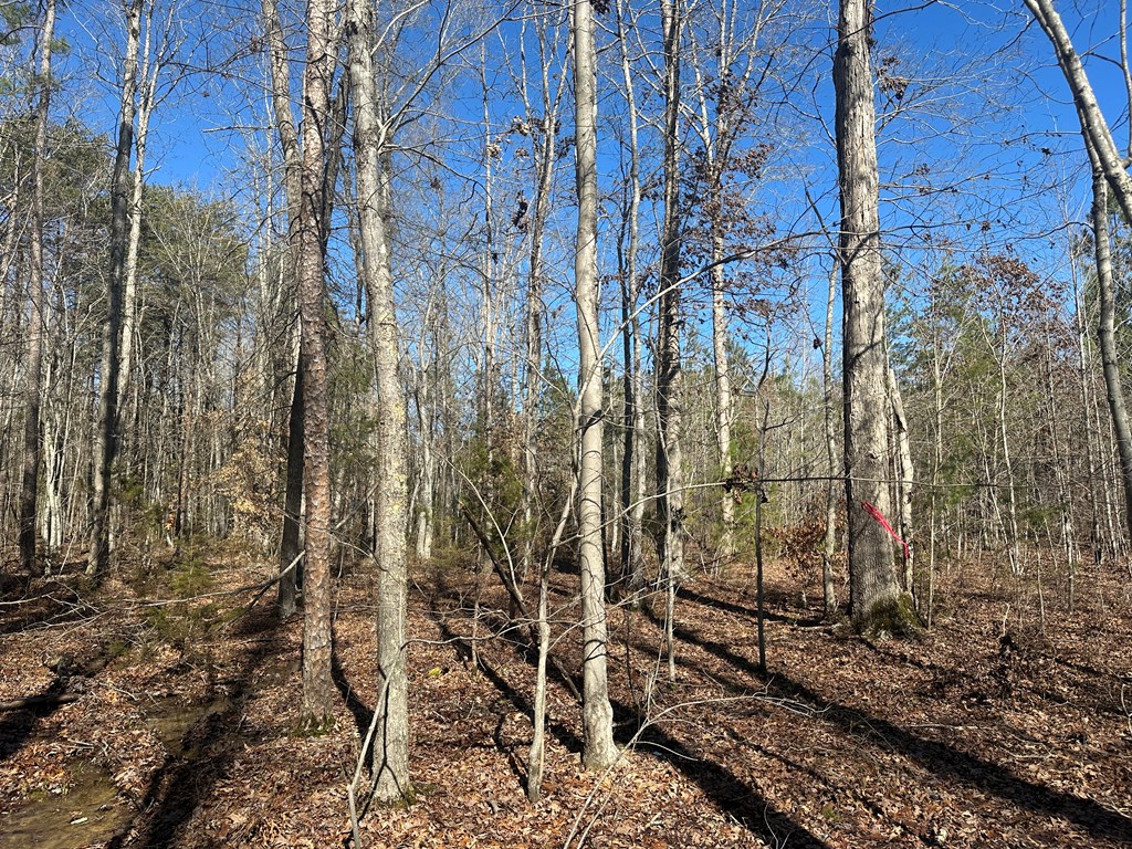 9.9 Acs Allen Trail Property Photo 24