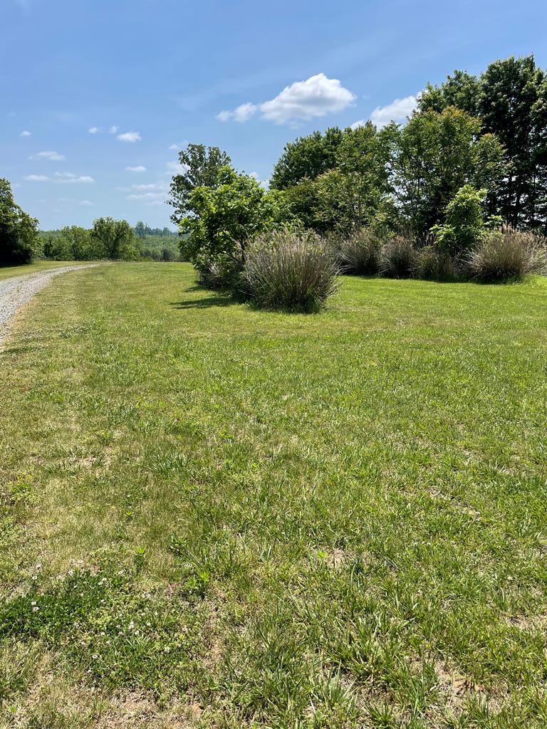 Wellspring Lane Property Photo 3