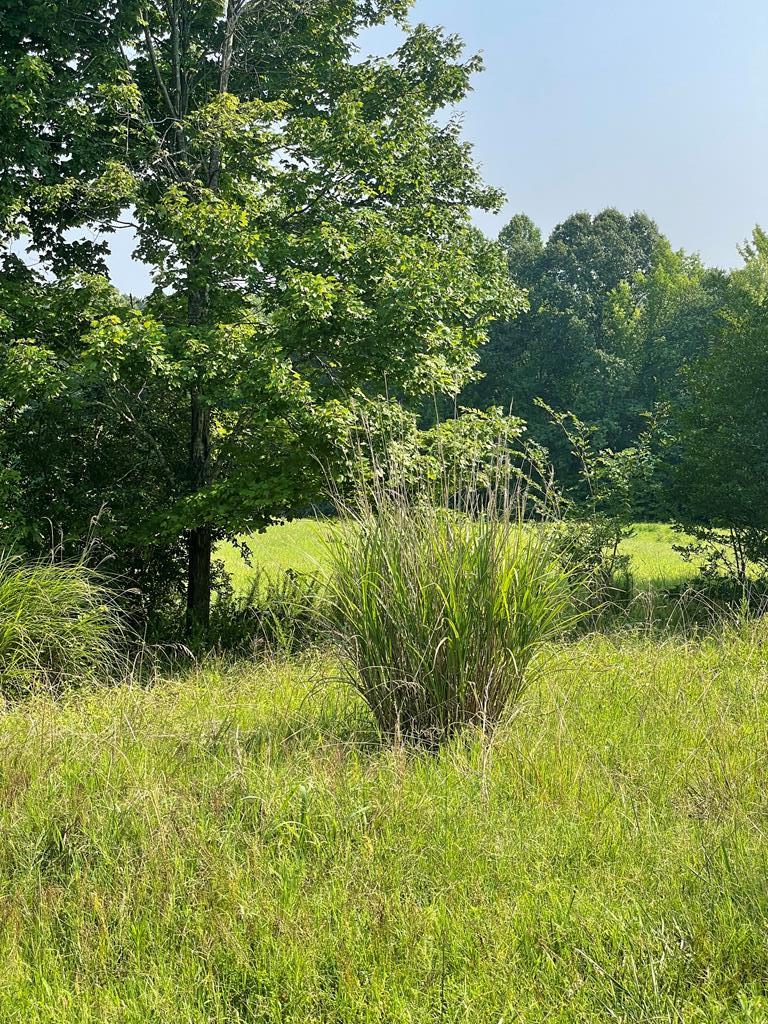 Wellspring Lane Property Photo 8