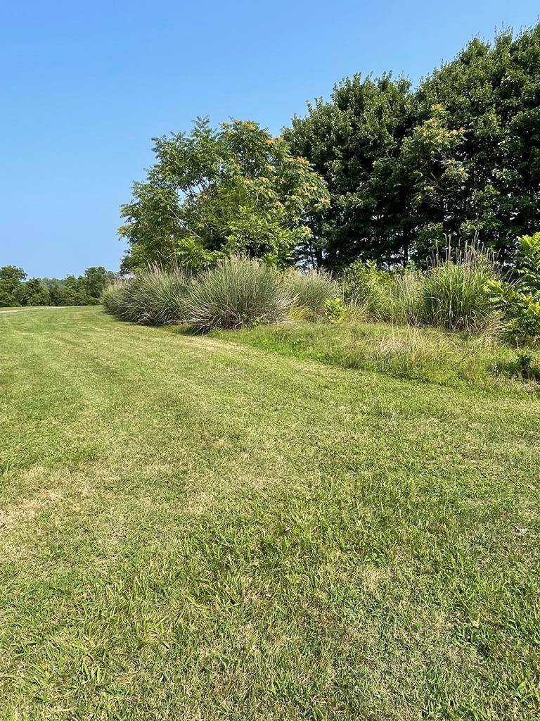 Wellspring Lane Property Photo 9